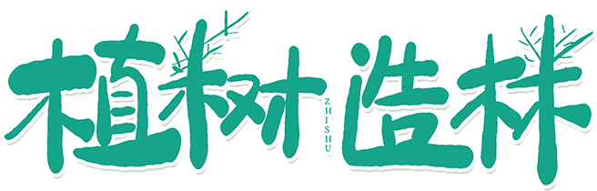 标题图片